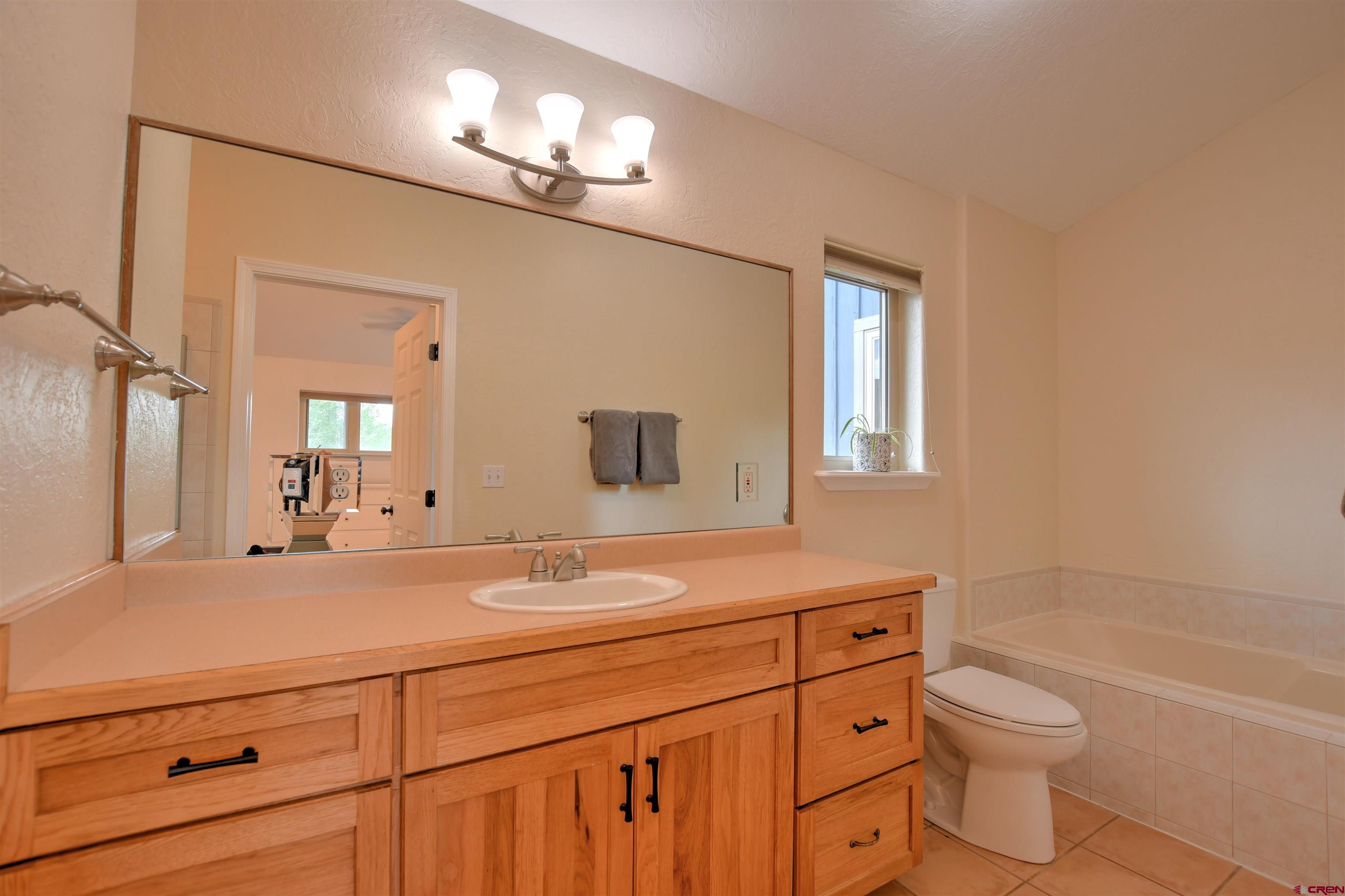 602 Chipeta Drive Ridgway, CO 81432 - Photo 16 of 41 a bathroom with a sink a toilet and a mirror