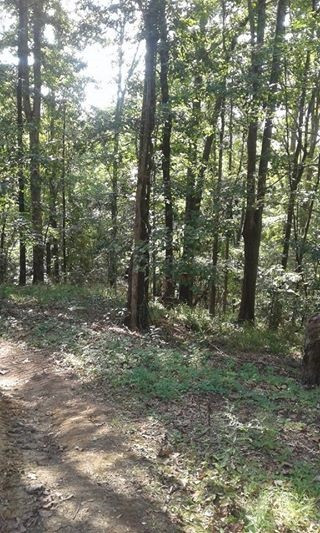 3175 Palestine Road Raymond, MS 39154 - Photo 4 of 4 Photo 4