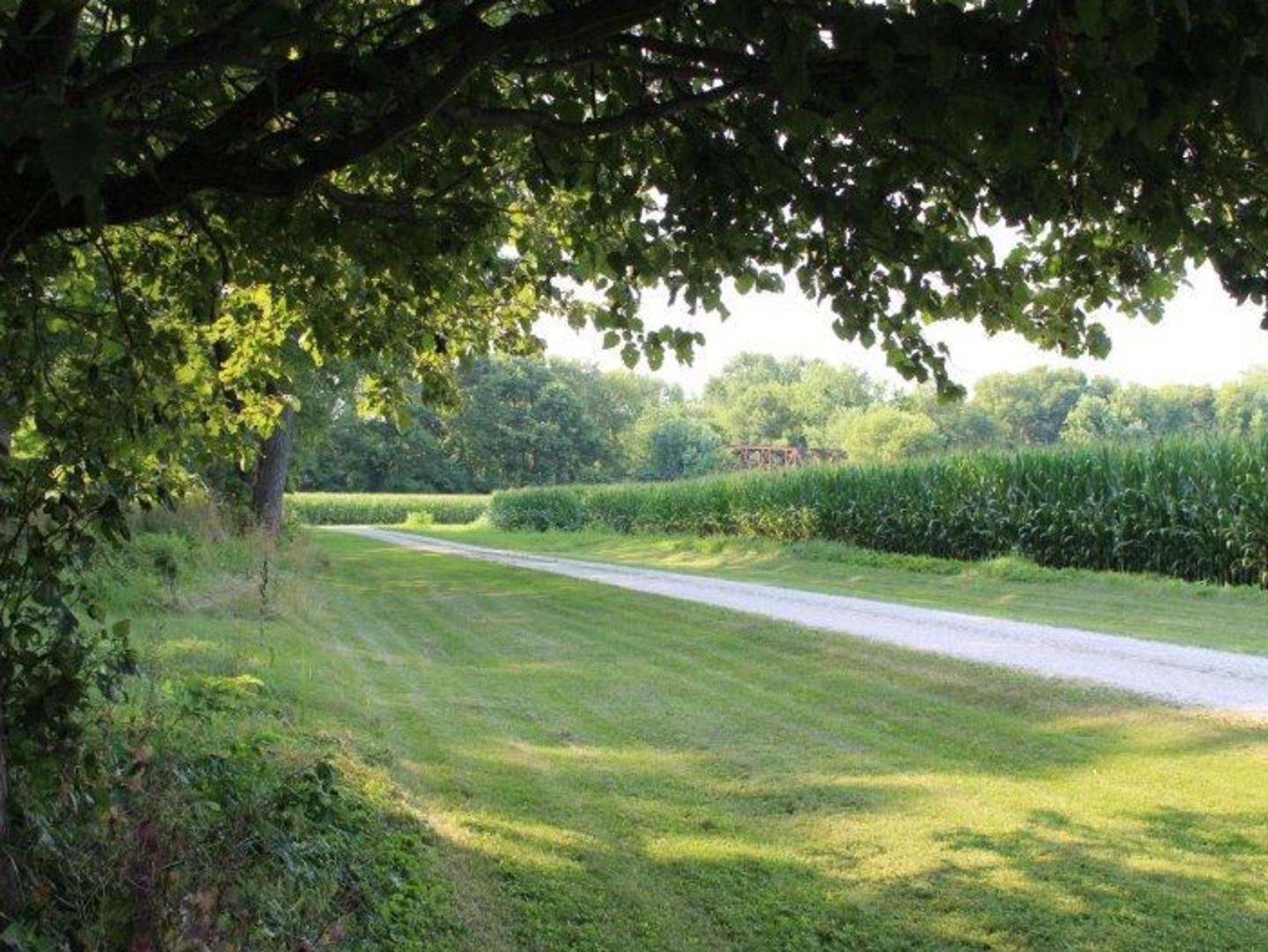 Tbd Lyndon Road Prophetstown, IL 61277 - Photo 4 of 8