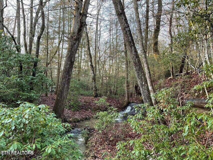 435 Cumberland Cove Road, Unit 9 Monterey, TN 38574 - Photo 3 of 7 435 pic 6