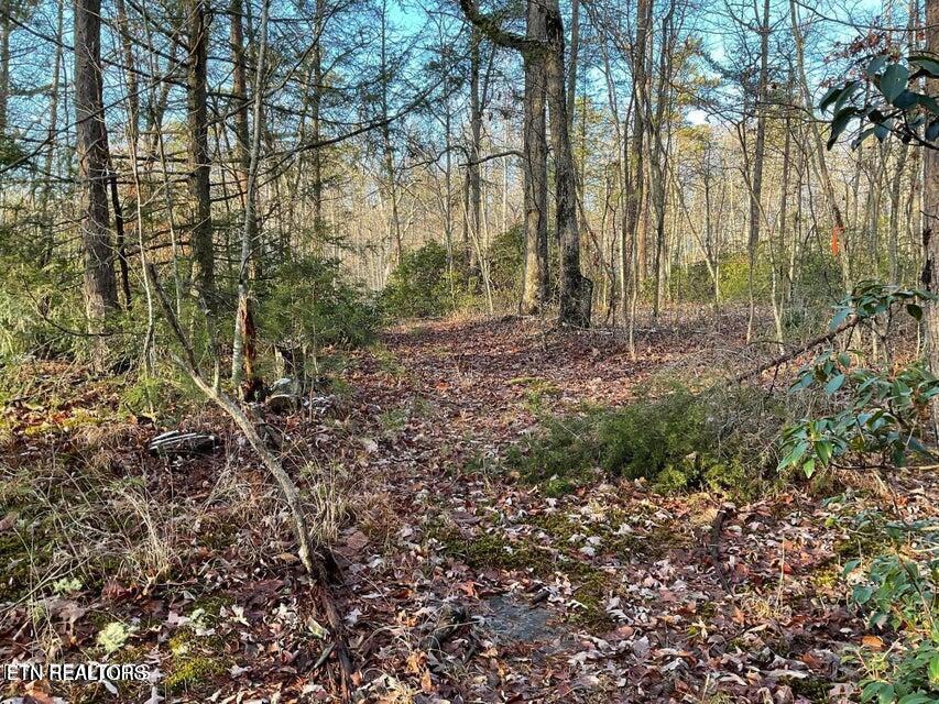 435 Cumberland Cove Road, Unit 9 Monterey, TN 38574 - Photo 4 of 7 435 Pic 5