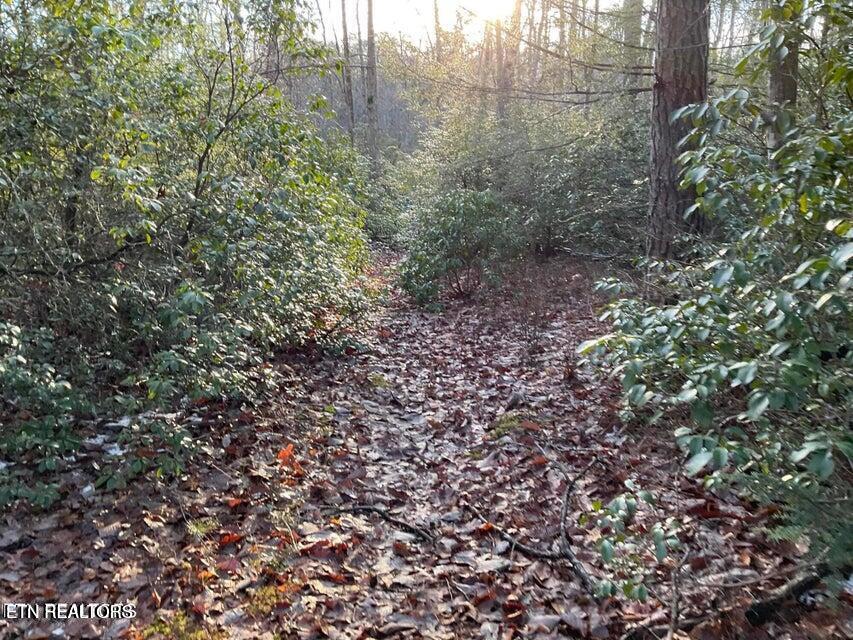 435 Cumberland Cove Road, Unit 9 Monterey, TN 38574 - Photo 5 of 7 435 Pic 4