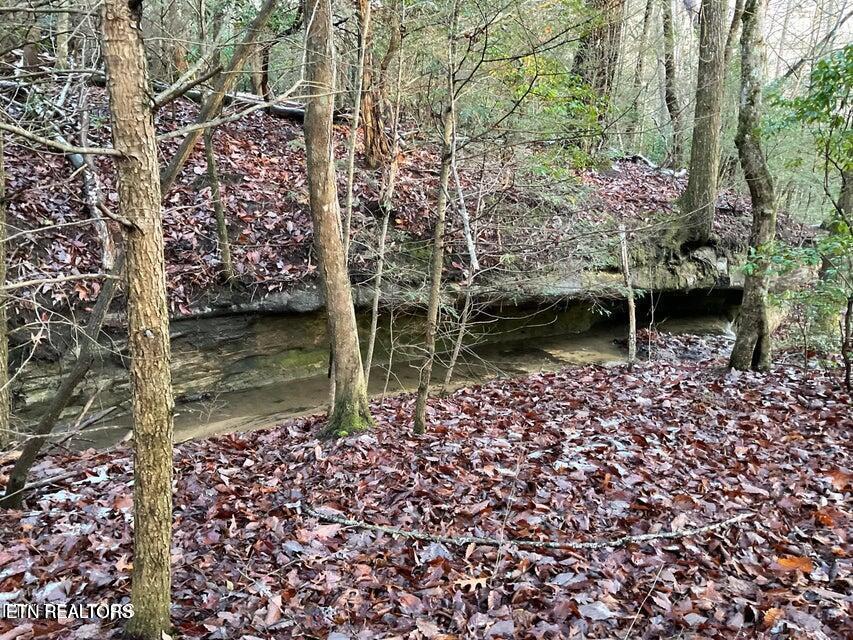 435 Cumberland Cove Road, Unit 9 Monterey, TN 38574 - Photo 6 of 7 435 Pic 3