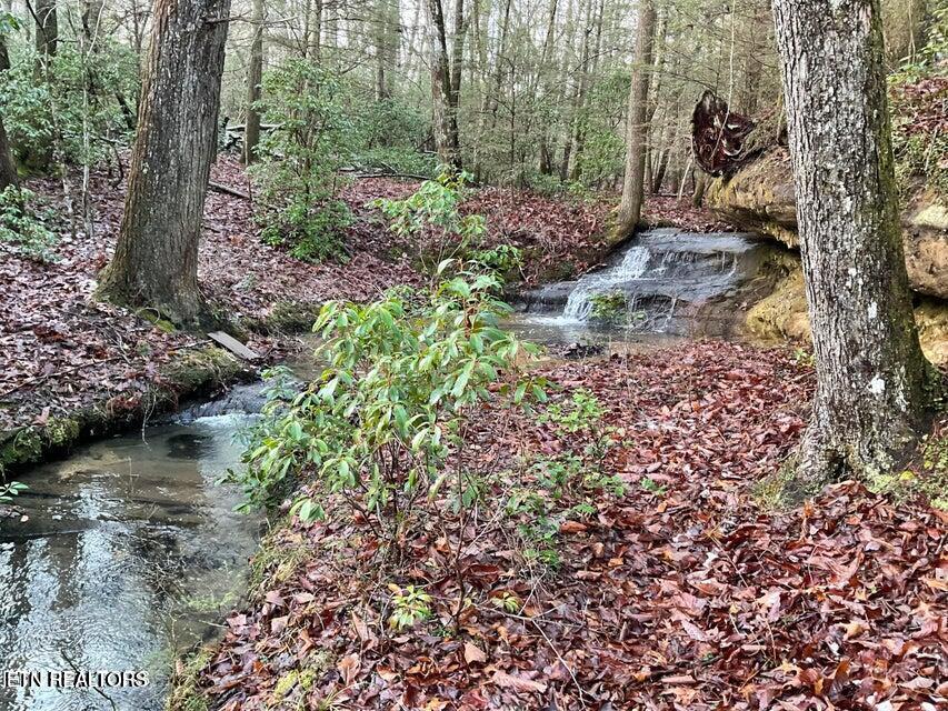 435 Cumberland Cove Road, Unit 9 Monterey, TN 38574 - Photo 7 of 7 435 pic 2