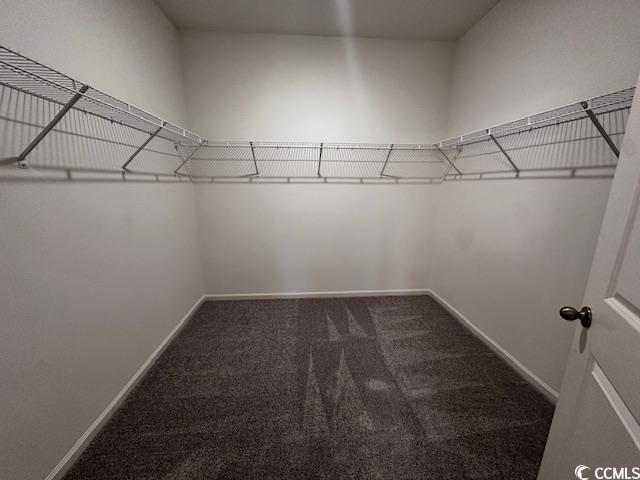 166 Linares Street Loris, SC 29569 - Photo 17 of 19 Spacious closet featuring dark colored carpet