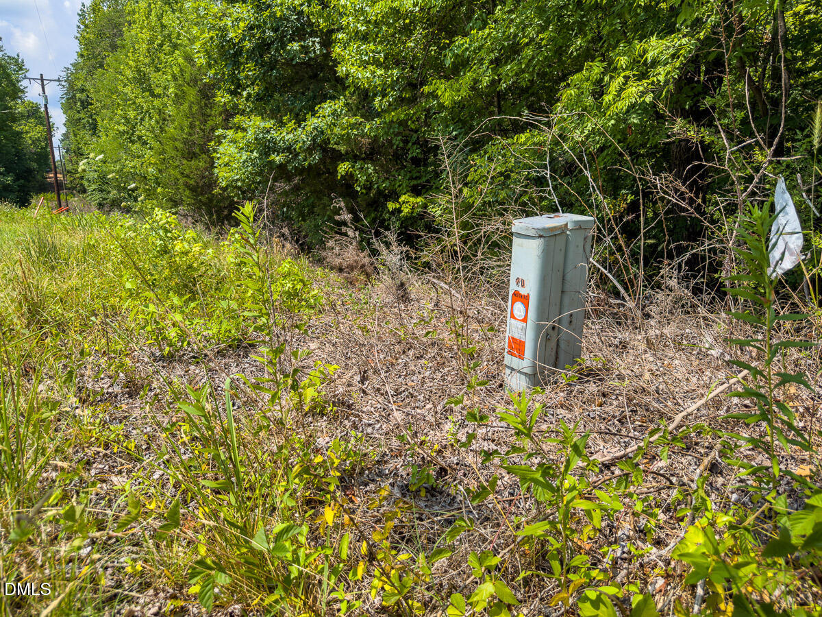 0 Park Springs Road Ruffin, NC 27326 - Photo 11 of 31 Caswell Co. NC 7.19-COA-11