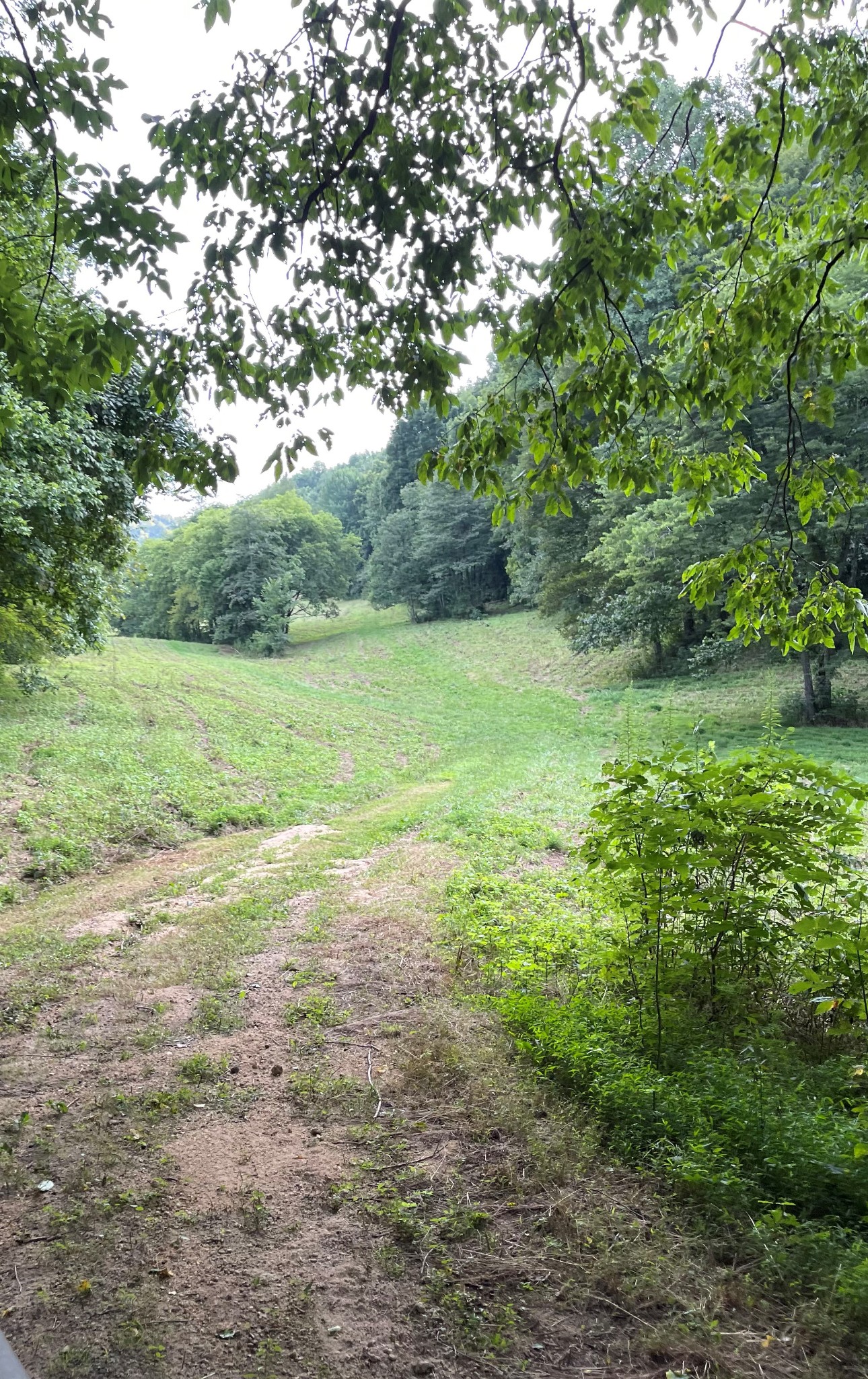 4706 Southpoint Ridge Road Hampshire, TN 38461 - Photo 14 of 38 Gallery Image 14