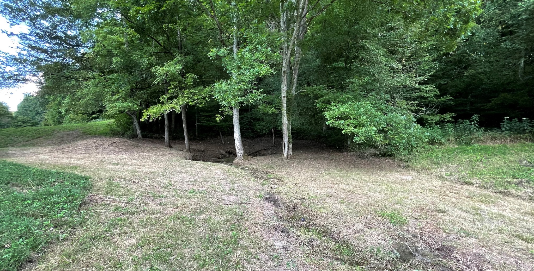 4706 Southpoint Ridge Road Hampshire, TN 38461 - Photo 15 of 38 Gallery Image 15