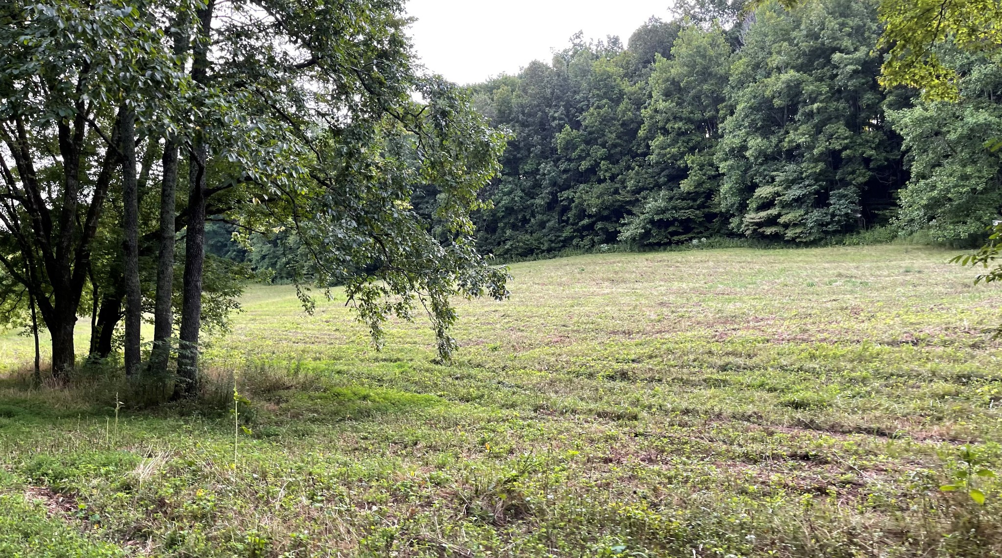 4706 Southpoint Ridge Road Hampshire, TN 38461 - Photo 17 of 38 Gallery Image 17