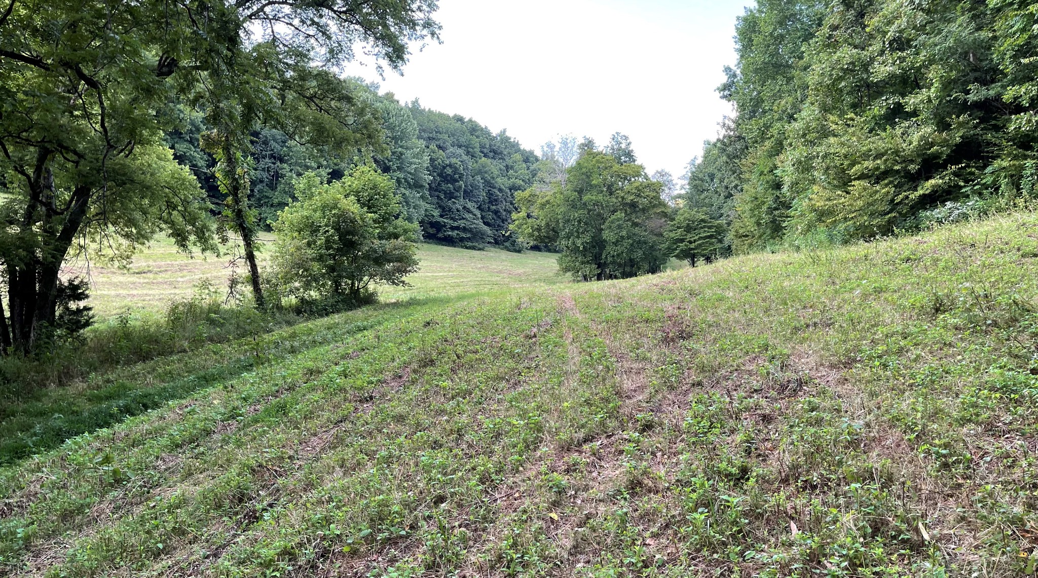 4706 Southpoint Ridge Road Hampshire, TN 38461 - Photo 18 of 38 Gallery Image 18
