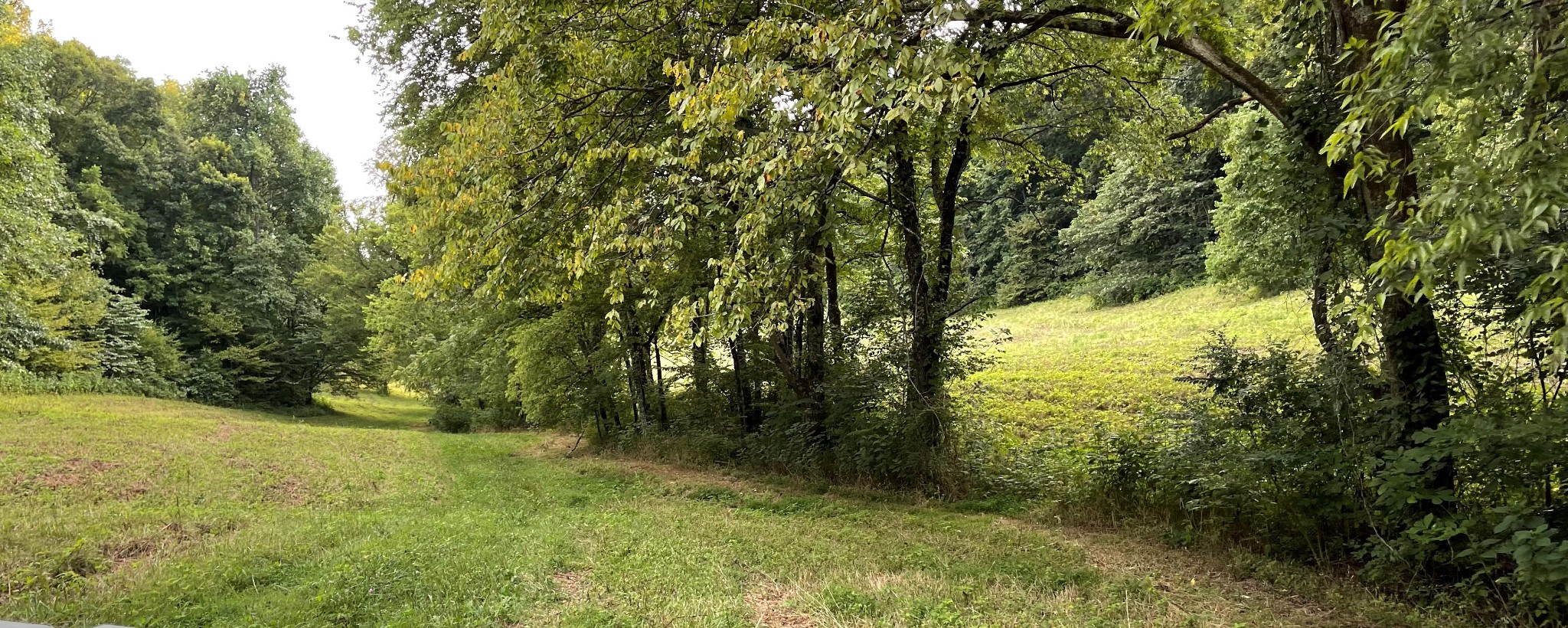 4706 Southpoint Ridge Road Hampshire, TN 38461 - Photo 20 of 38 Gallery Image 20