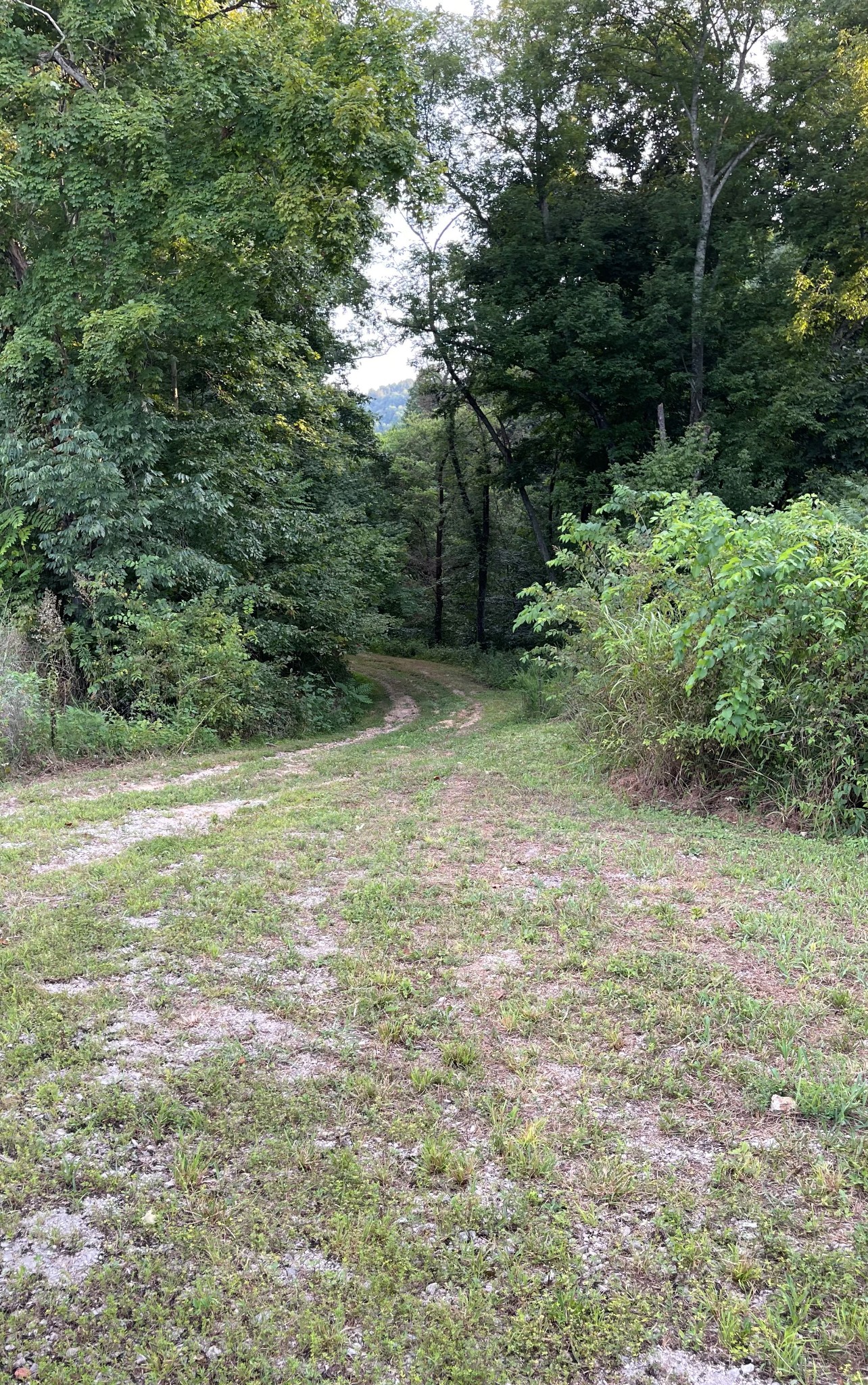 4706 Southpoint Ridge Road Hampshire, TN 38461 - Photo 22 of 38 Gallery Image 22