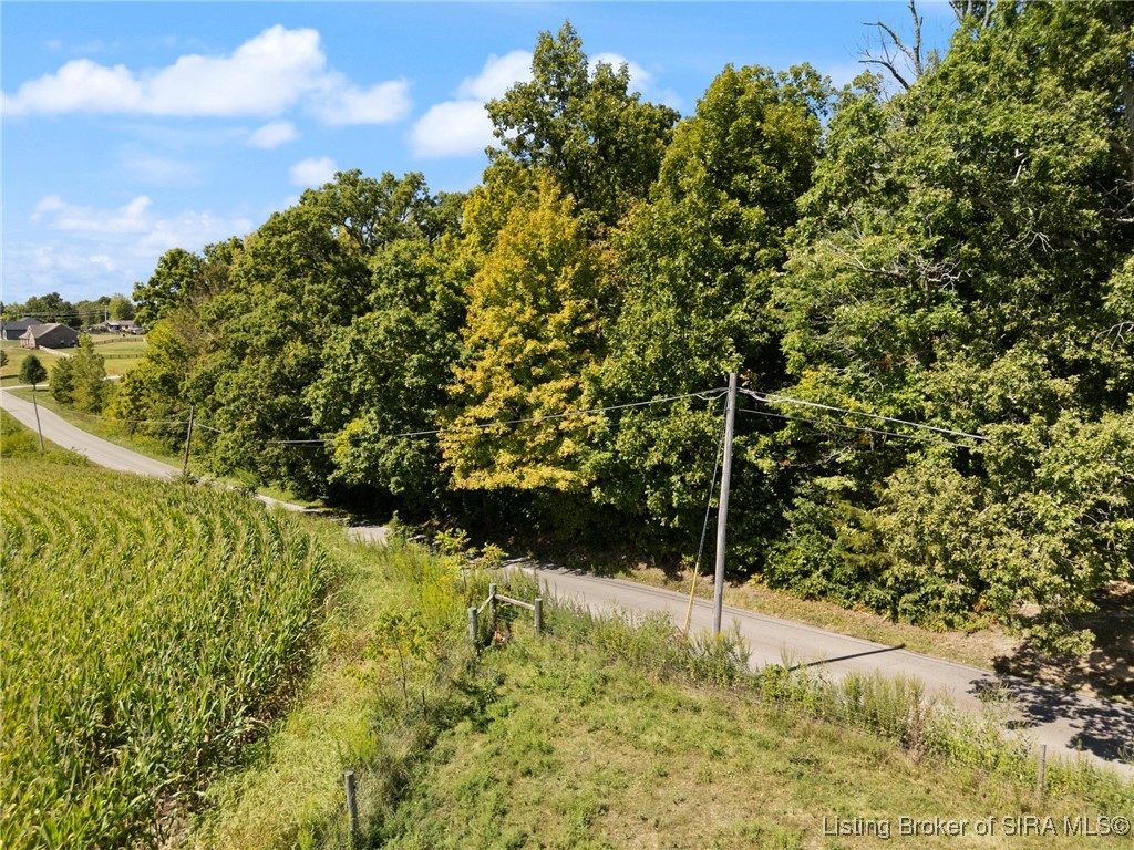 Payton Road Greenville, IN 47124 - Photo 4 of 17 Gallery Image 4