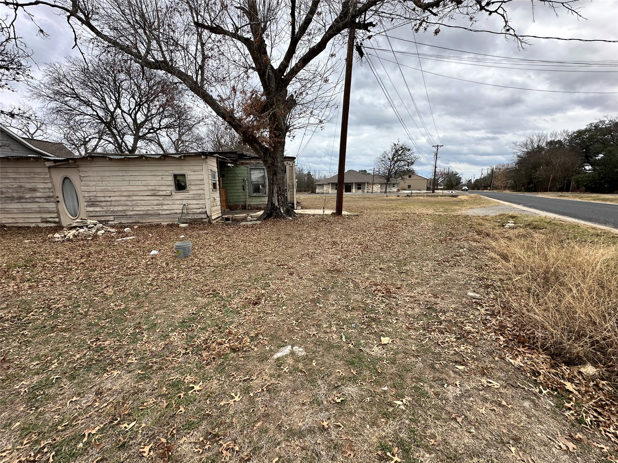 408 West Allen Street Kyle, TX 78640 - Photo 16 of 20 View of yard
