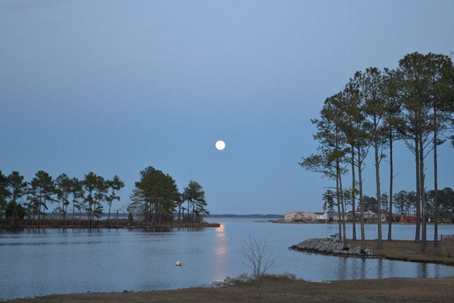 263 Tate Landing Road Belhaven, NC 27810 - Photo 9 of 11 Additional Photo