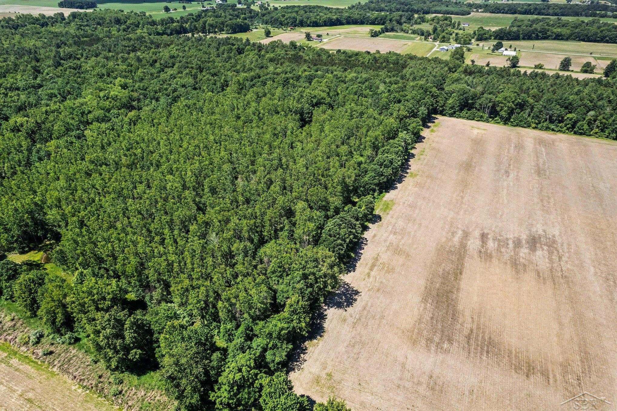 South Fenmore Road Merrill, MI 48637 - Photo 15 of 31