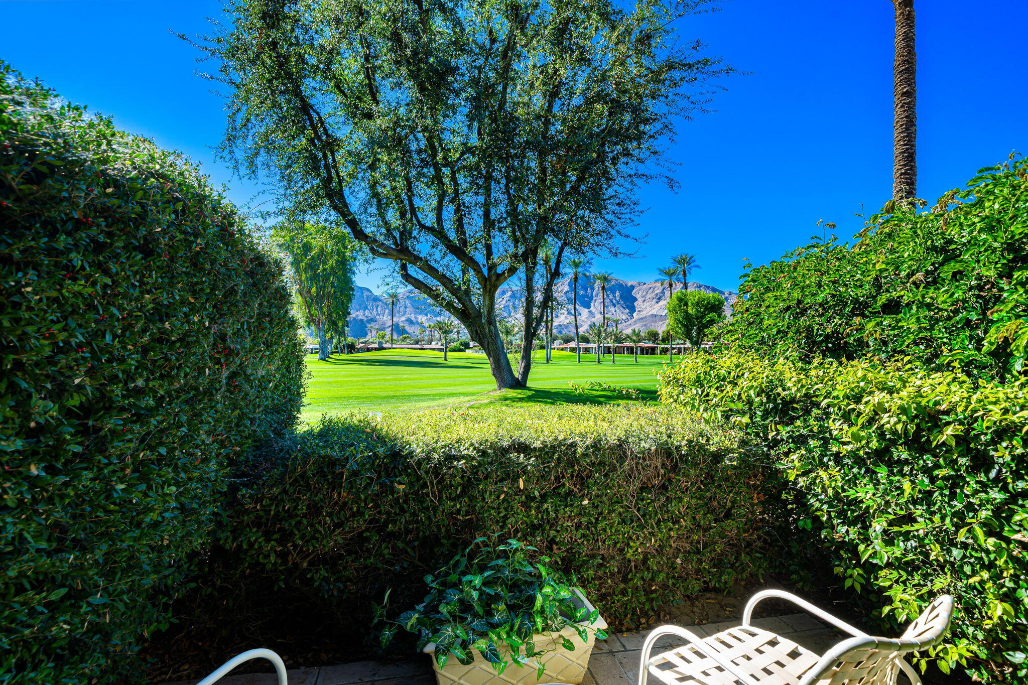 13 Duke Drive Rancho Mirage, CA 92270 - Photo 41 of 68 a backyard of a house with lots of green space