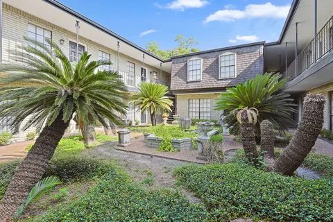 a view of a palm plant that is in front of a building