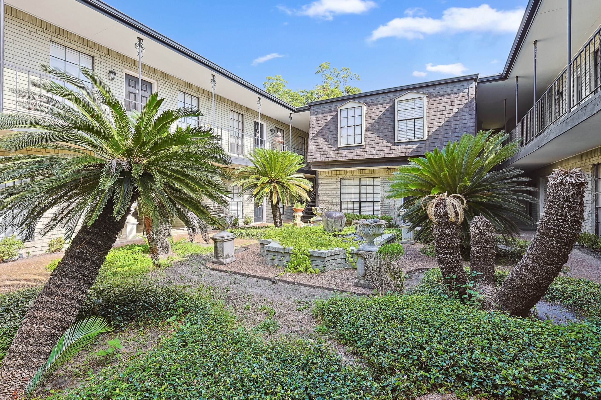 3402 Garrott Street, Unit 15 Houston, TX 77006 - Photo 12 of 17 a view of a palm plant that is in front of a building