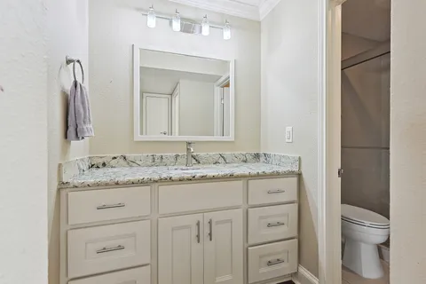 a bathroom with a granite countertop toilet sink and mirror