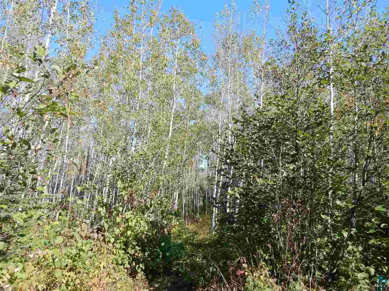 3362 Rock Road Silver Bay, MN 55614 - Photo 12 of 24 Gallery Image 12
