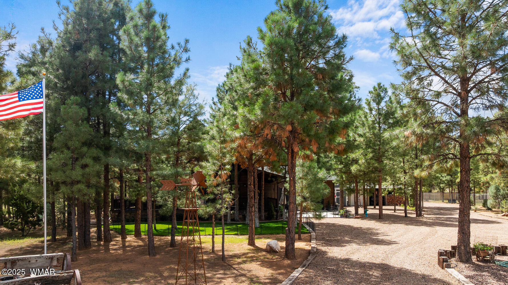 2046 Christmas Pine Road Overgaard, AZ 85933 - Photo 66 of 77