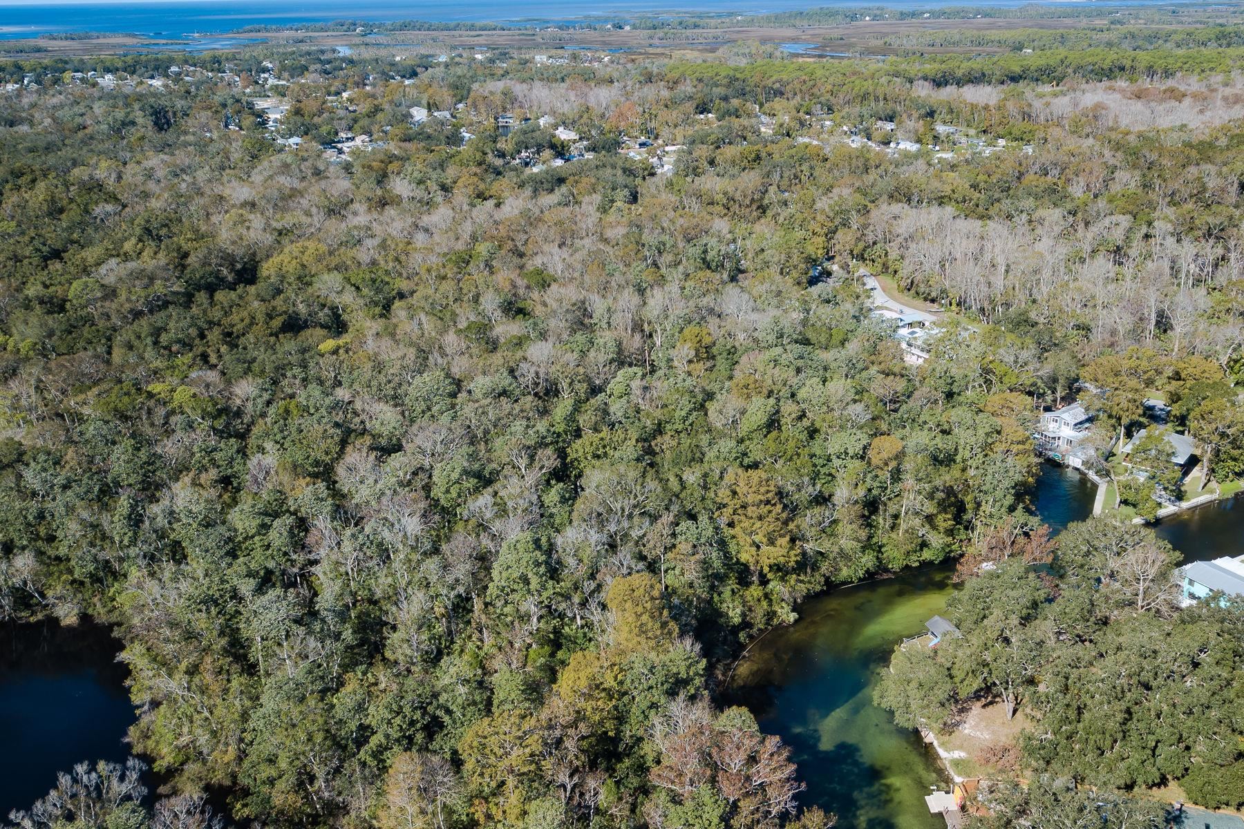6194 Bear Trail Weeki Wachee, FL 34607 - Photo 67 of 68