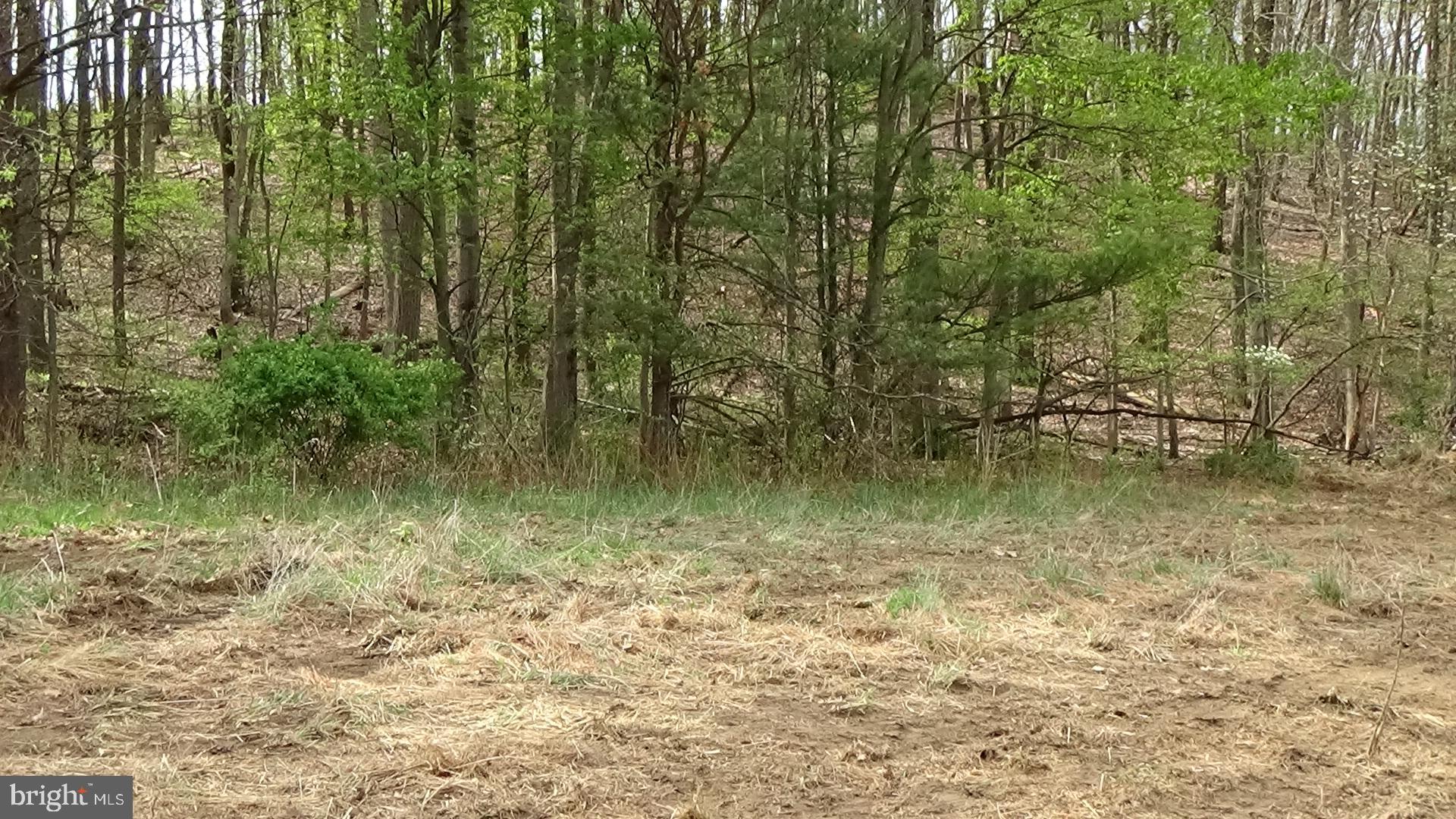 6 Kline Hollow Road Liverpool, PA 17045 - Photo 19 of 24