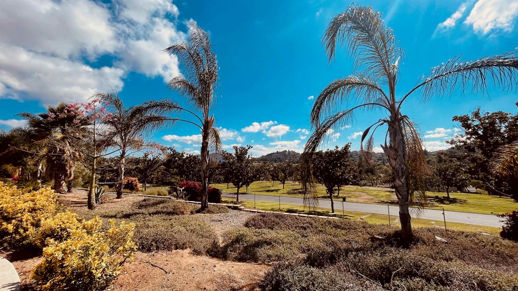 2159 Shire Drive El Cajon, CA 92019 - Photo 18 of 18 a view of swimming pool with a yard