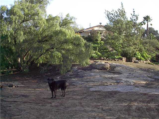 13411 Anthony Ridge Road Valley Center, CA 92082 - Photo 7 of 24