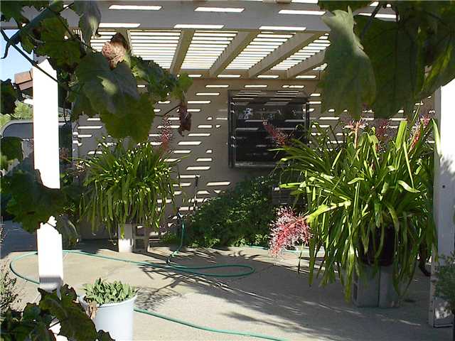 13411 Anthony Ridge Road Valley Center, CA 92082 - Photo 9 of 24