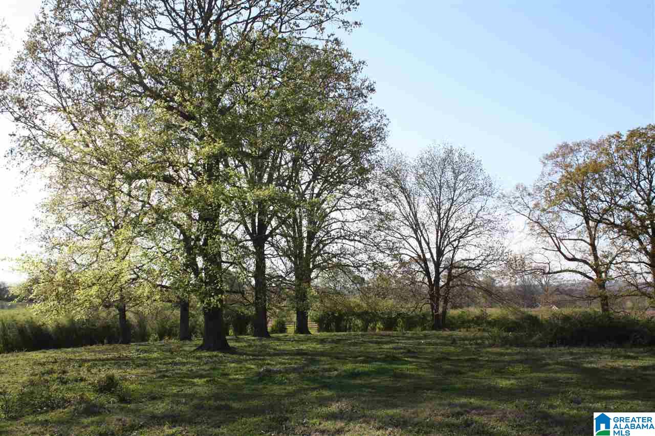 11506 Stemley Road Lincoln, AL 35096 - Photo 1 of 21