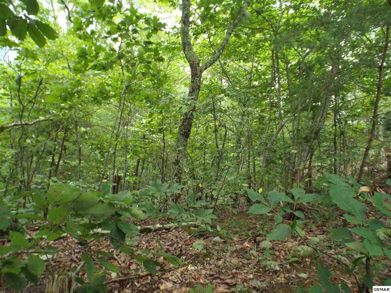 4 Lloyd Huskey Road Pigeon Forge, TN 37863 - Photo 9 of 10