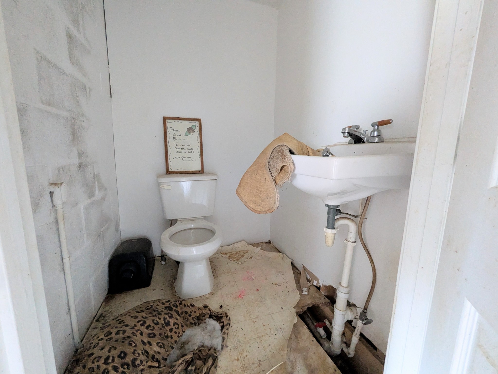 3416 Erin Road McEwen, TN 37101 - Photo 43 of 43 a bathroom with a sink toilet and a mirror