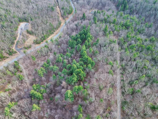 $624,900 | 7923 Poor Mountain Road, Bent Mountain, VA 24059