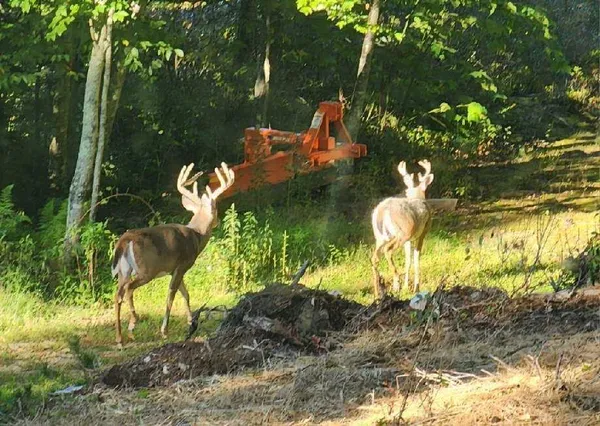 $624,900 | 7923 Poor Mountain Road, Bent Mountain, VA 24059