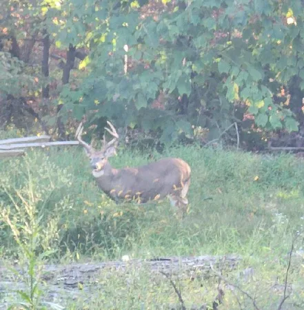 $624,900 | 7923 Poor Mountain Road, Bent Mountain, VA 24059