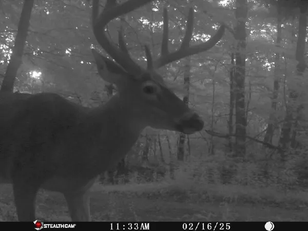 $624,900 | 7923 Poor Mountain Road, Bent Mountain, VA 24059