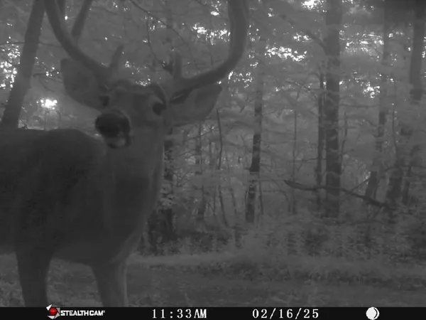 $624,900 | 7923 Poor Mountain Road, Bent Mountain, VA 24059