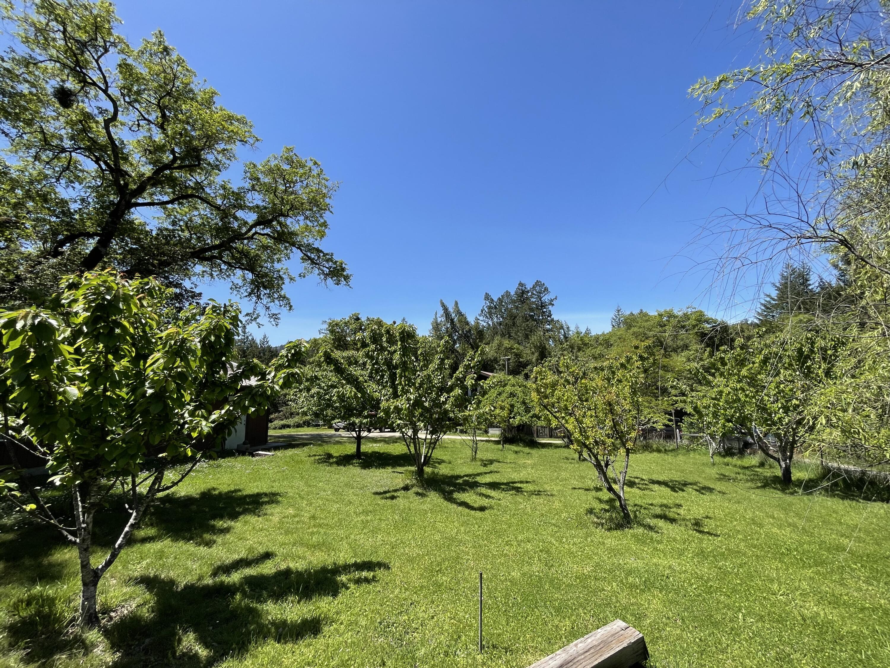 435 Cathey Ranch Road Miranda, CA 95553 - Photo 33 of 41