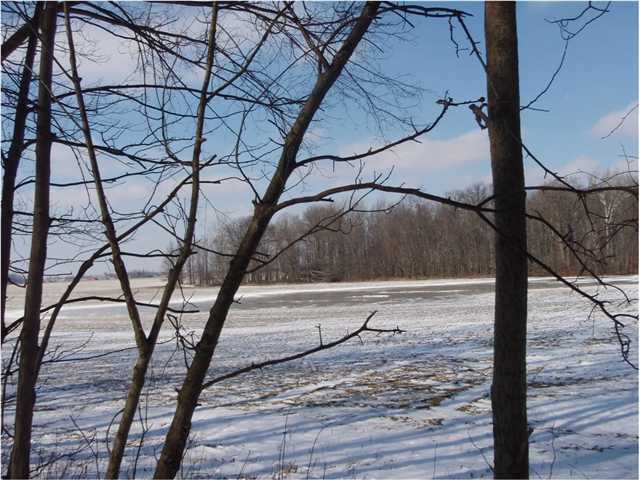 18450 Yoakum Road, Unit UNI Mount Victory, OH 43340 - Photo 9 of 11