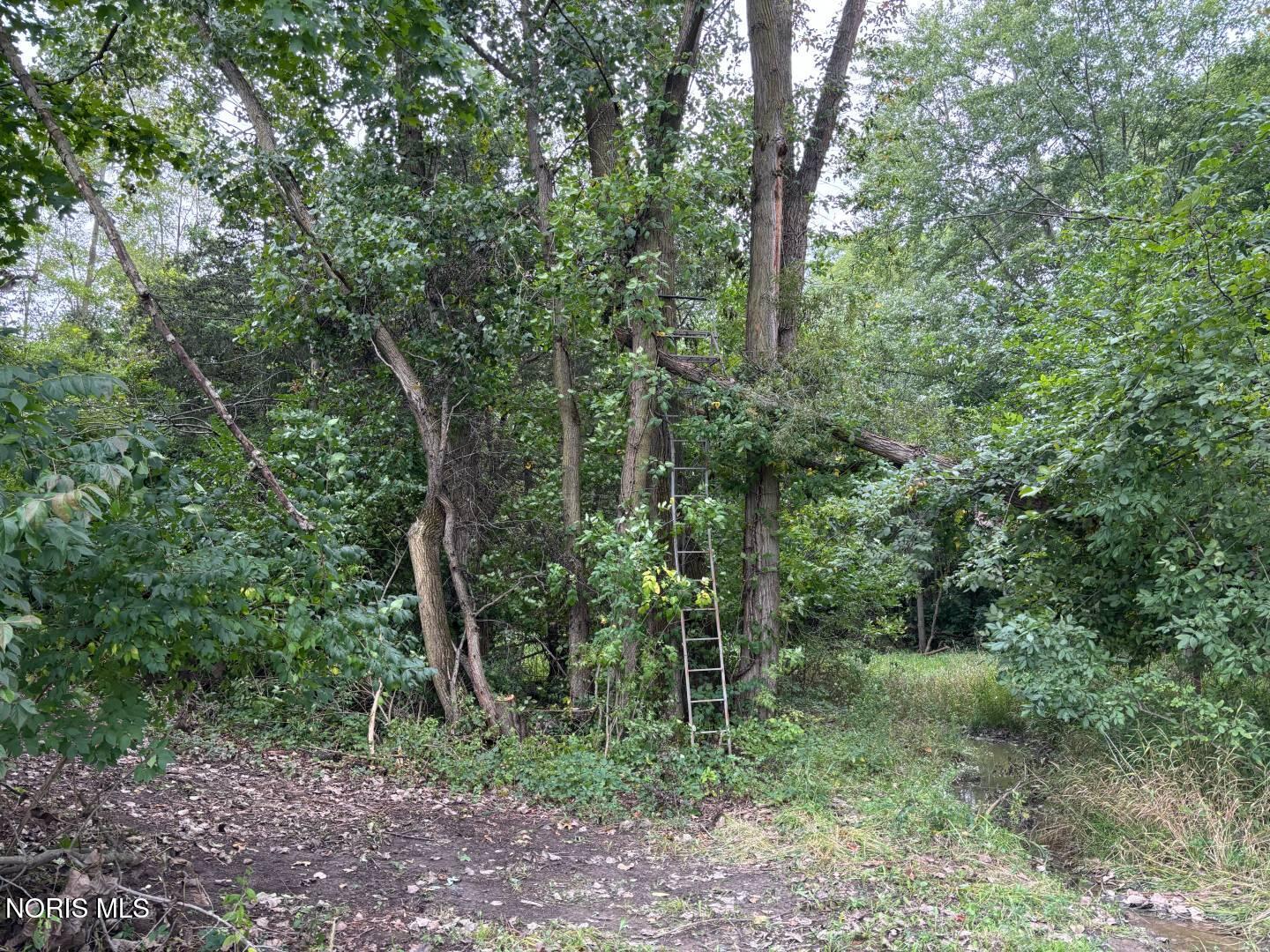Evansport Road Defiance, OH 43512 - Photo 22 of 28 Gallery Image 22