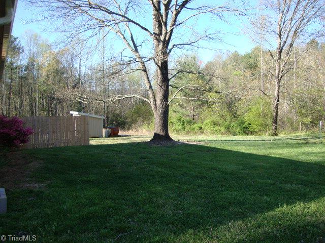 220 Thunder Road Boomer, NC 28606 - Photo 27 of 28 Backyard