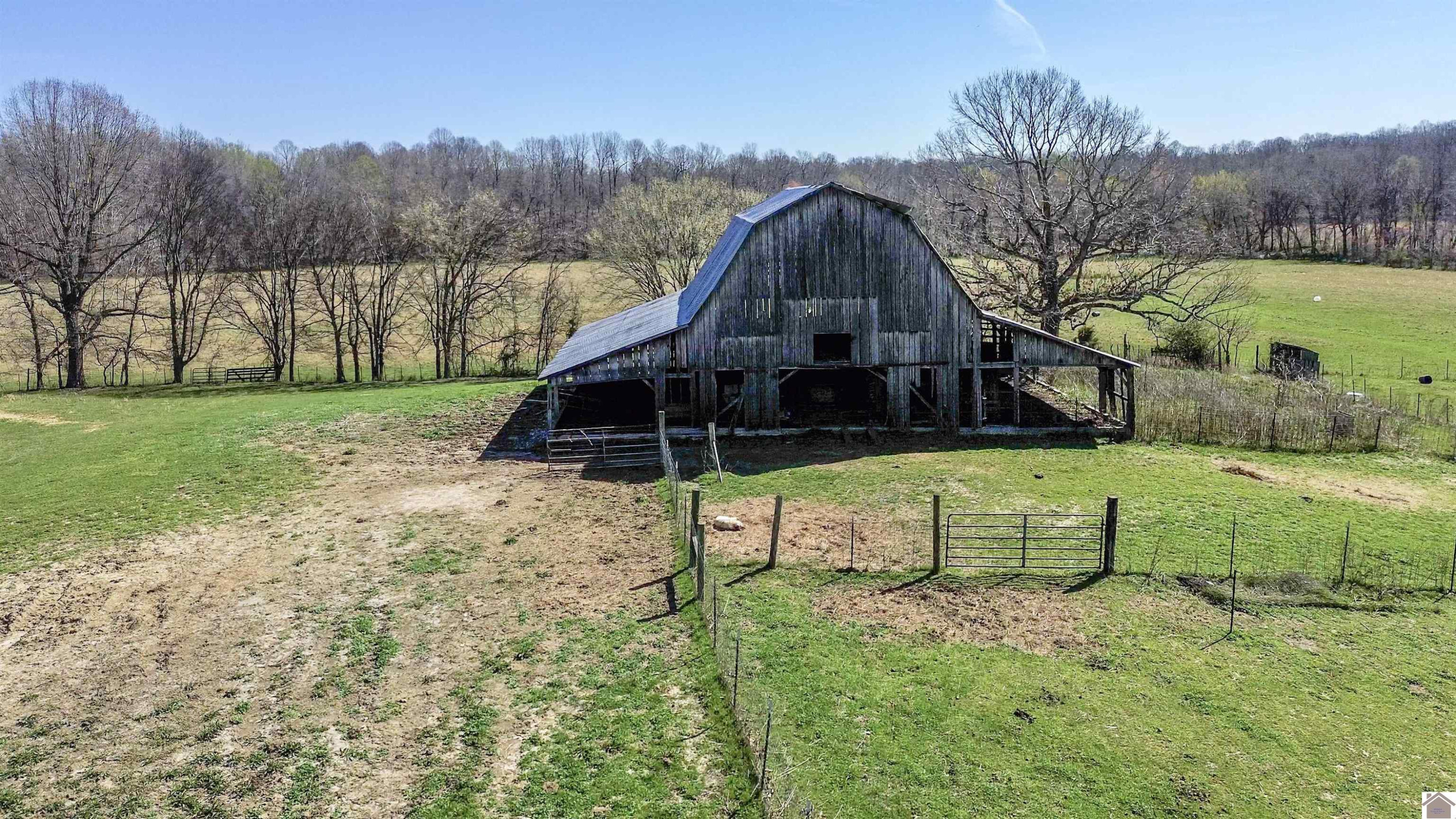 996 Owen Rhea Road Tiline, KY 42083 - Photo 39 of 40 Photo 39