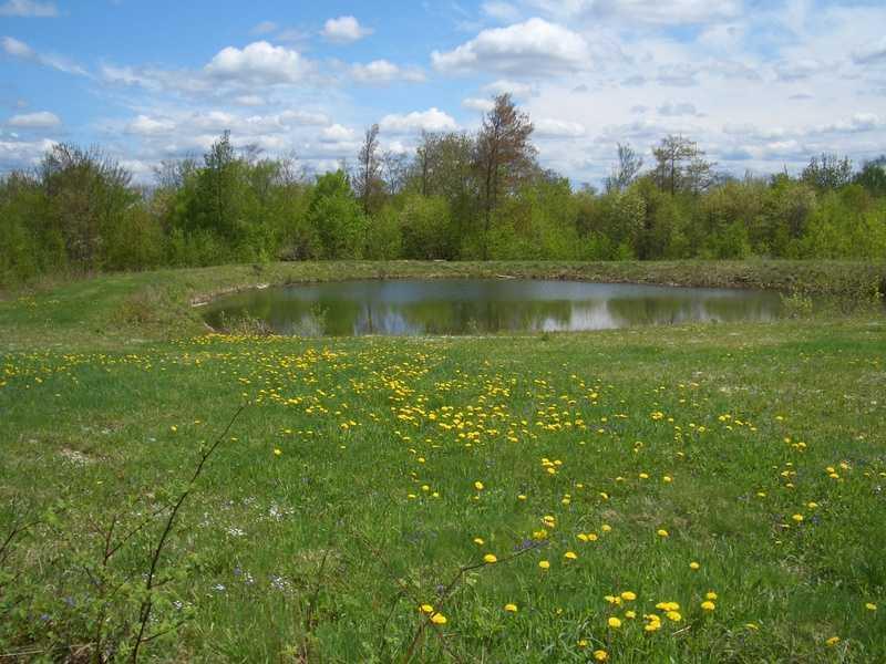 18 Stream Road Winterport, ME 04496 - Photo 18 of 25 Land. One of two farm ponds on the...