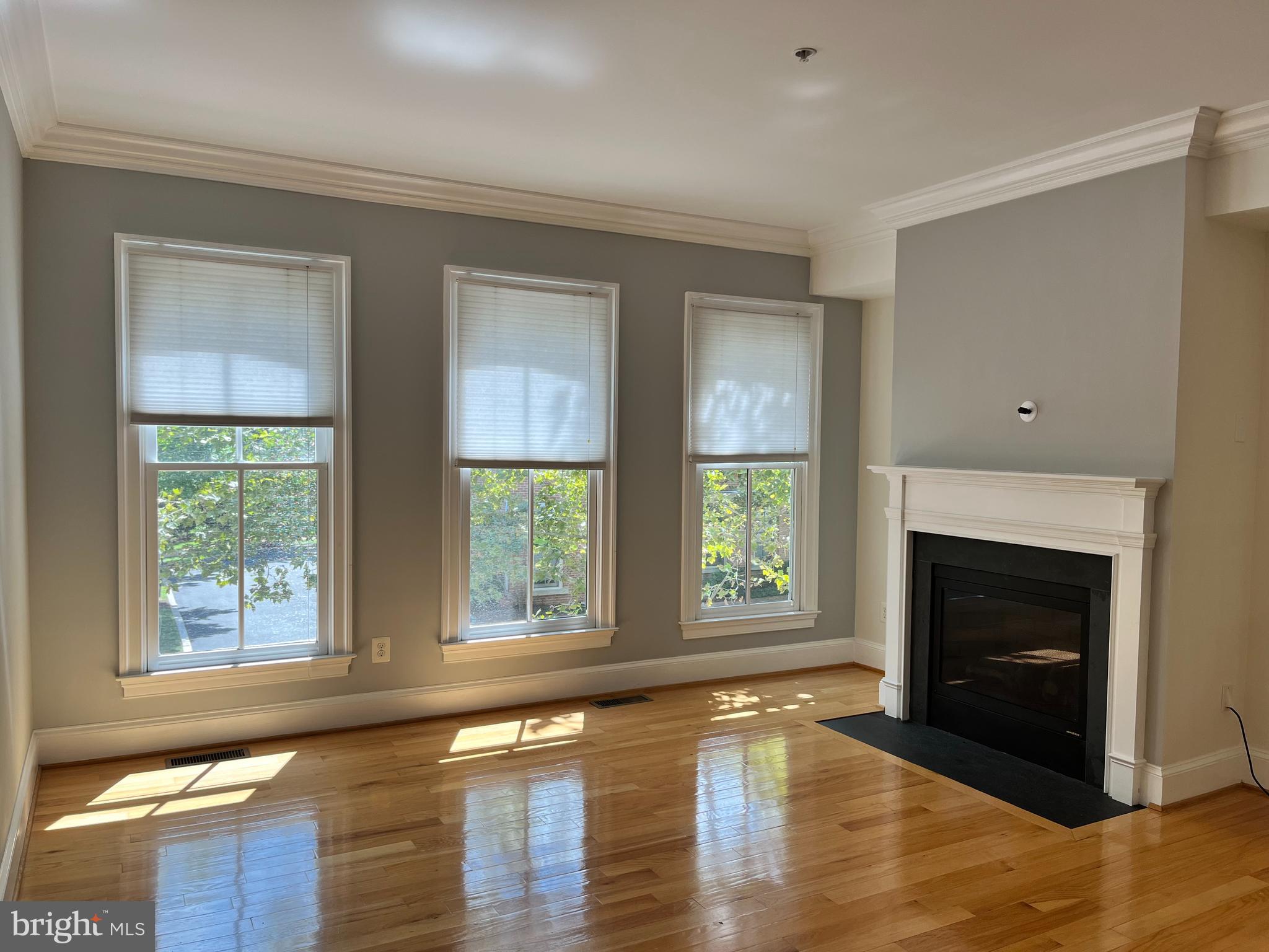 711 Carpenter Road Alexandria, VA 22314 - Photo 4 of 30 Living Room