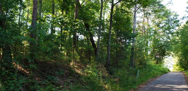 $17,000 | 0 Treeline Drive, Unit 5, Dunlap, TN 37327
