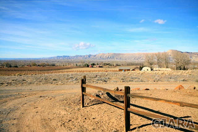 261-33 33 1/2 Road Grand Junction, CO 81503 - Photo 18 of 27 Gallery Image 18