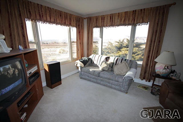 261-33 33 1/2 Road Grand Junction, CO 81503 - Photo 6 of 27 Gallery Image 6