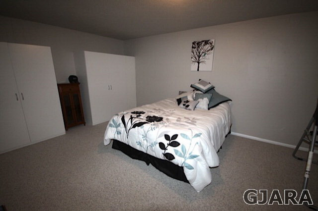 261-33 33 1/2 Road Grand Junction, CO 81503 - Photo 10 of 27 Gallery Image 10